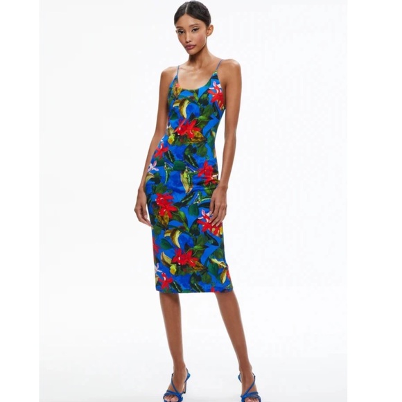 Alice + Olivia Dresses & Skirts - Alice + Olivia Delora Printed Dress